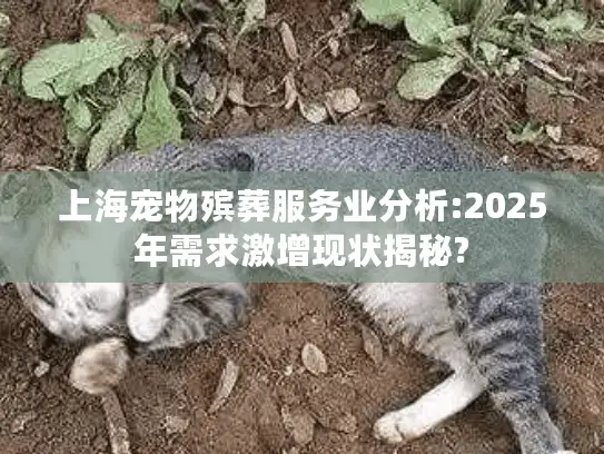 上海宠物殡葬服务业分析:2025年需求激增现状揭秘?