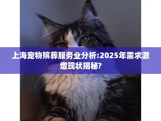 上海宠物殡葬服务业分析:2025年需求激增现状揭秘?