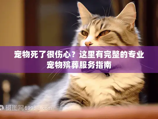 宠物死了很伤心？这里有完整的专业宠物殡葬服务指南