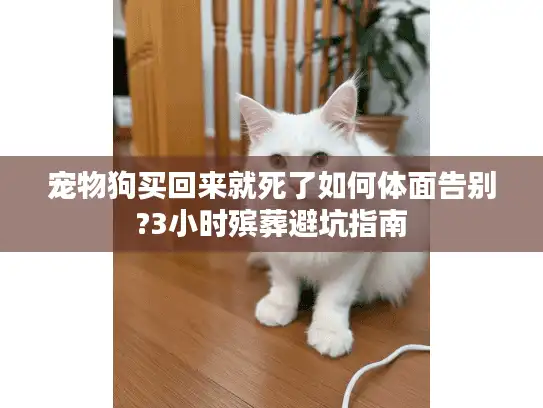 宠物狗买回来就死了如何体面告别?3小时殡葬避坑指南