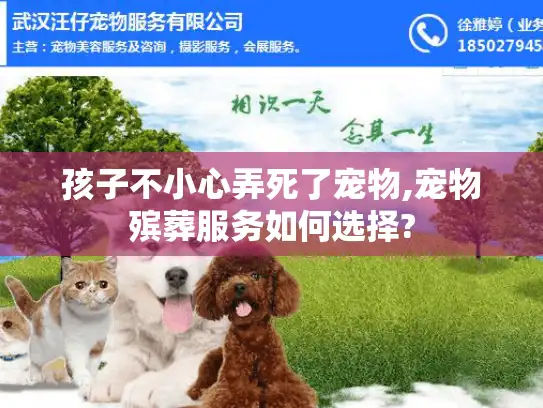 孩子不小心弄死了宠物,宠物殡葬服务如何选择?
