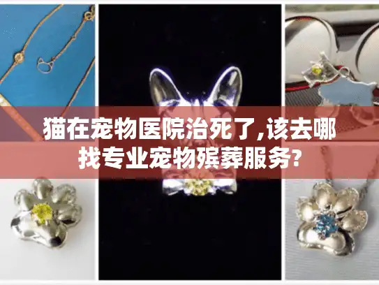 猫在宠物医院治死了,该去哪找专业宠物殡葬服务?