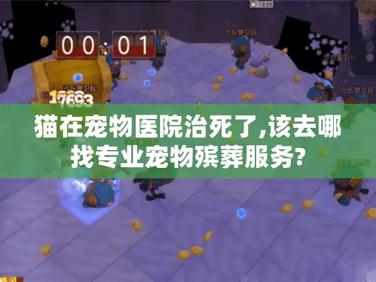 猫在宠物医院治死了,该去哪找专业宠物殡葬服务?