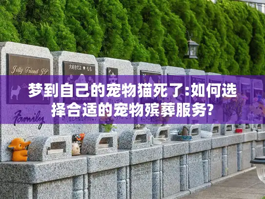 梦到自己的宠物猫死了:如何选择合适的宠物殡葬服务?