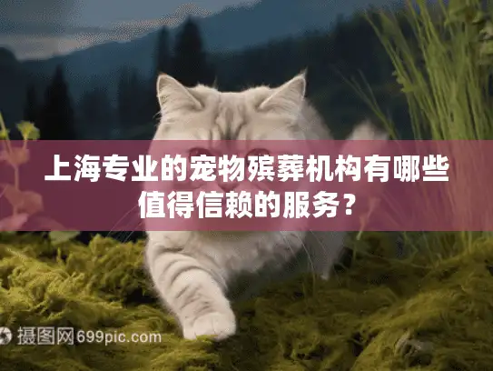 上海专业的宠物殡葬机构有哪些值得信赖的服务？
