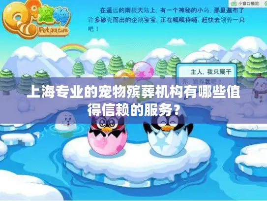 上海专业的宠物殡葬机构有哪些值得信赖的服务？