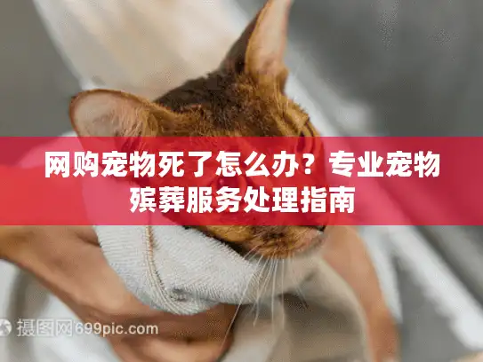 网购宠物死了怎么办？专业宠物殡葬服务处理指南