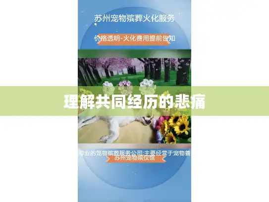 理解共同经历的悲痛