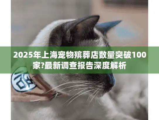 2025年上海宠物殡葬店数量突破100家?最新调查报告深度解析