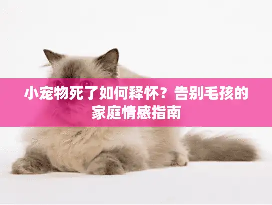 小宠物死了如何释怀？告别毛孩的家庭情感指南