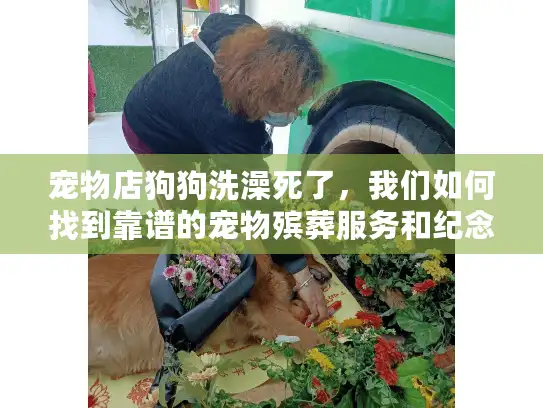 宠物店狗狗洗澡死了，我们如何找到靠谱的宠物殡葬服务和纪念方案？