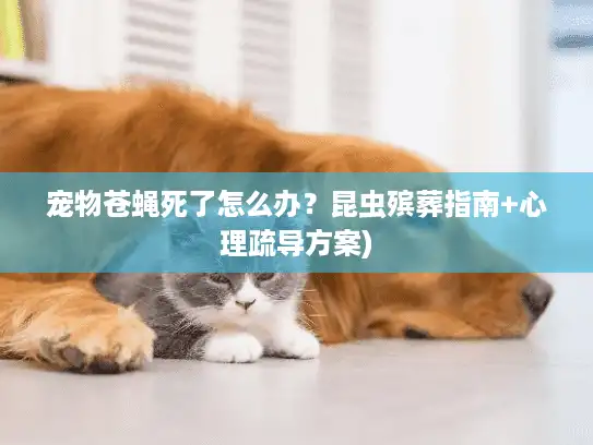宠物苍蝇死了怎么办？昆虫殡葬指南+心理疏导方案)