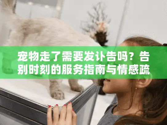 宠物走了需要发讣告吗？告别时刻的服务指南与情感疏导