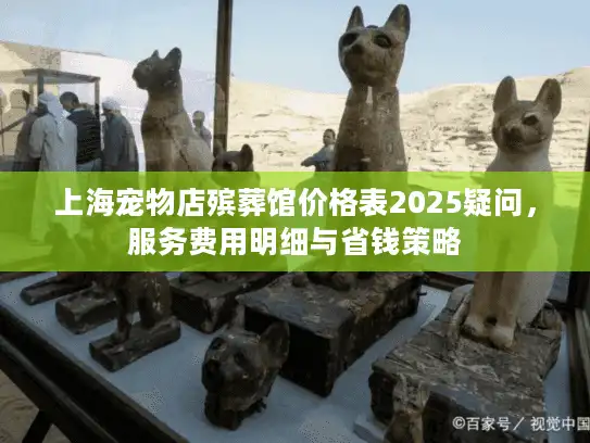 上海宠物店殡葬馆价格表2025疑问，服务费用明细与省钱策略