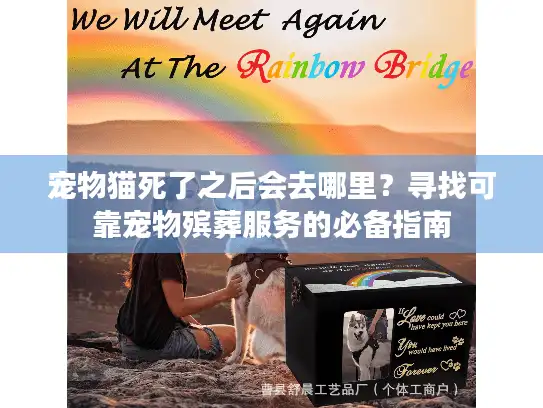 宠物猫死了之后会去哪里？寻找可靠宠物殡葬服务的必备指南