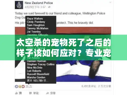 太空杀的宠物死了之后的样子该如何应对？专业宠物殡葬服务全攻略