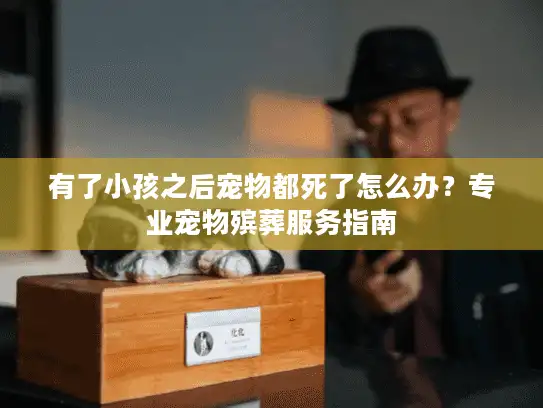 有了小孩之后宠物都死了怎么办？专业宠物殡葬服务指南