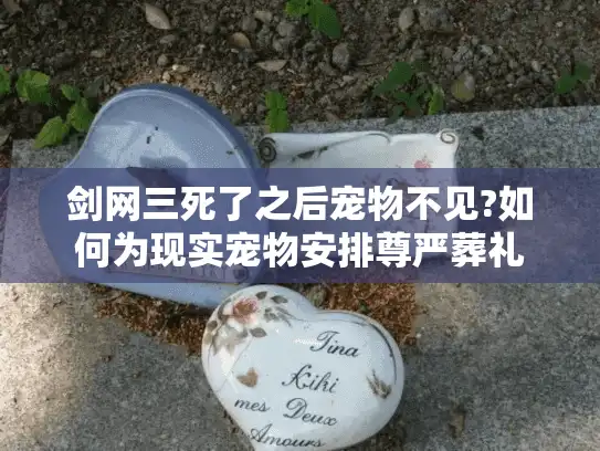 剑网三死了之后宠物不见?如何为现实宠物安排尊严葬礼