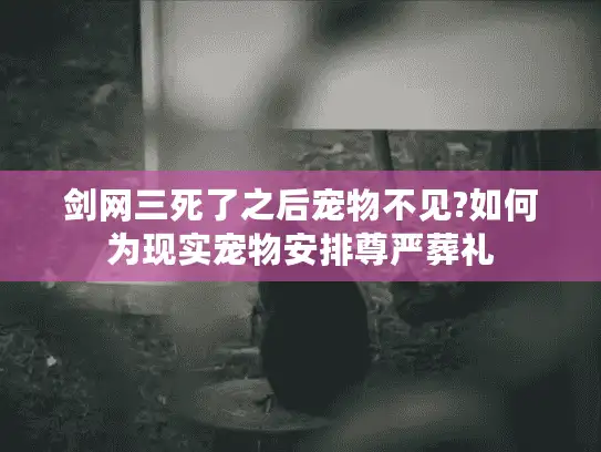 剑网三死了之后宠物不见?如何为现实宠物安排尊严葬礼