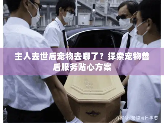 主人去世后宠物去哪了？探索宠物善后服务贴心方案