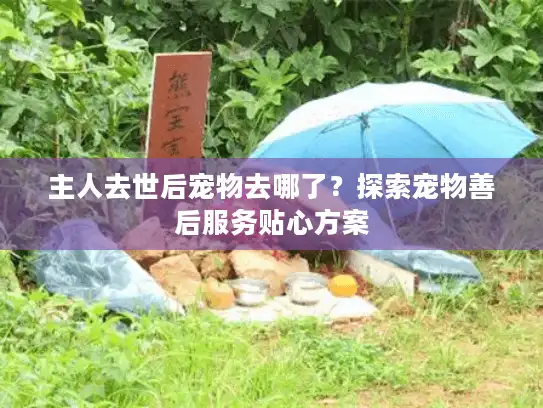 主人去世后宠物去哪了？探索宠物善后服务贴心方案