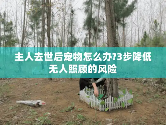主人去世后宠物怎么办?3步降低无人照顾的风险