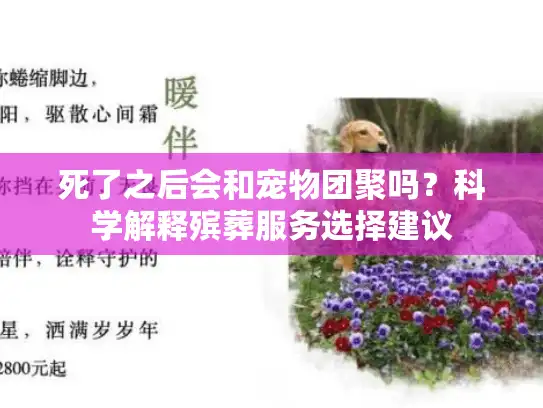 死了之后会和宠物团聚吗？科学解释殡葬服务选择建议