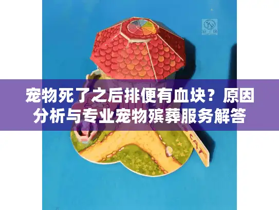 宠物死了之后排便有血块？原因分析与专业宠物殡葬服务解答