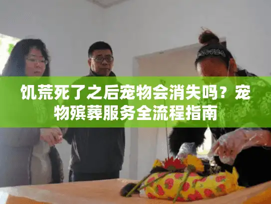 饥荒死了之后宠物会消失吗？宠物殡葬服务全流程指南