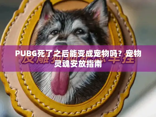 PUBG死了之后能变成宠物吗？宠物灵魂安放指南