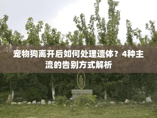 宠物狗离开后如何处理遗体？4种主流的告别方式解析