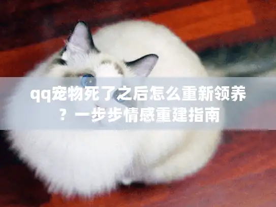qq宠物死了之后怎么重新领养？一步步情感重建指南