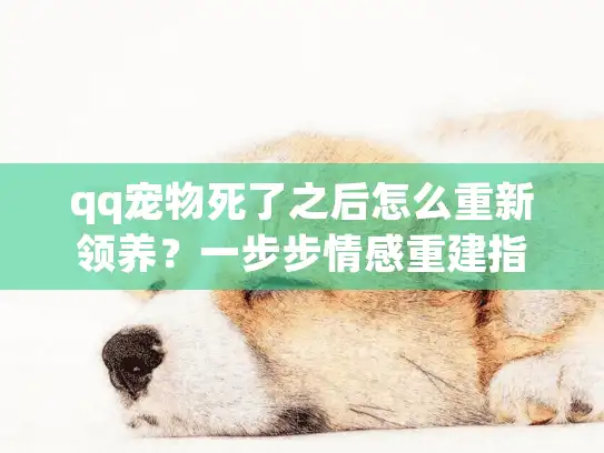 qq宠物死了之后怎么重新领养？一步步情感重建指南