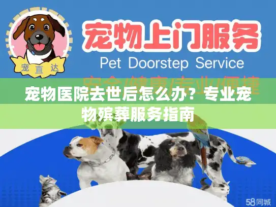 宠物医院去世后怎么办？专业宠物殡葬服务指南