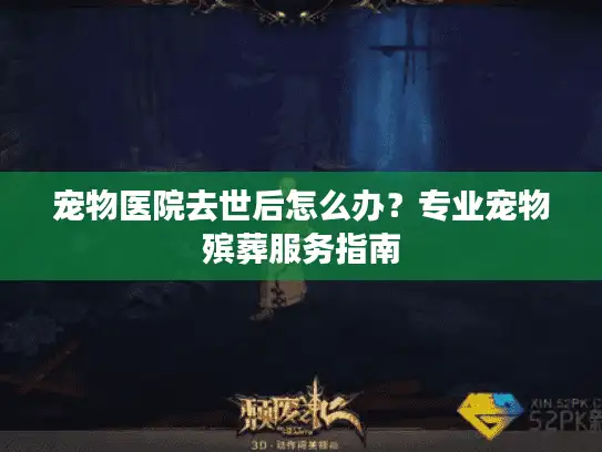 宠物医院去世后怎么办？专业宠物殡葬服务指南