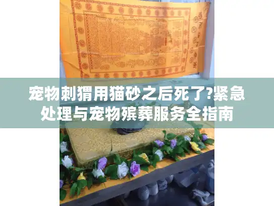 宠物刺猬用猫砂之后死了?紧急处理与宠物殡葬服务全指南