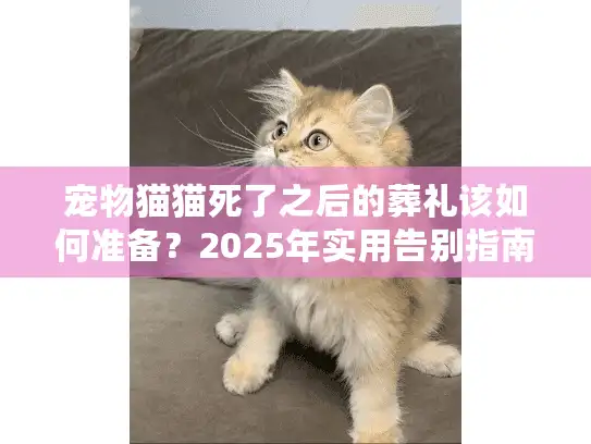 宠物猫猫死了之后的葬礼该如何准备？2025年实用告别指南