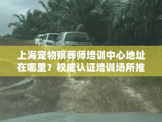 上海宠物殡葬师培训中心地址在哪里？权威认证培训场所推荐