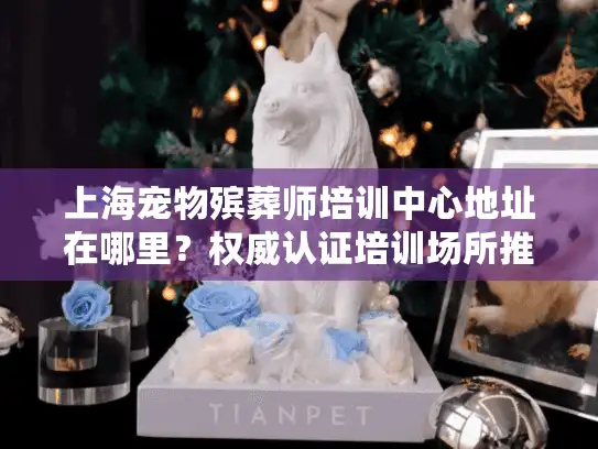 上海宠物殡葬师培训中心地址在哪里？权威认证培训场所推荐