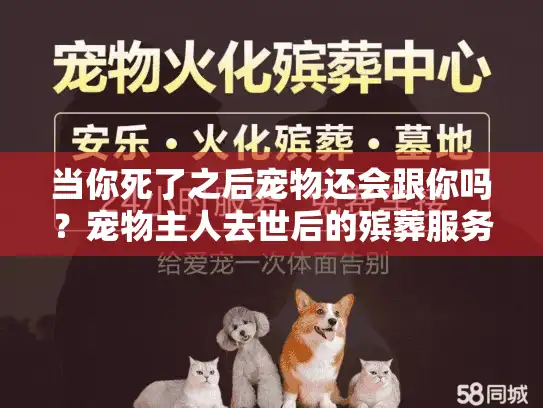 当你死了之后宠物还会跟你吗？宠物主人去世后的殡葬服务指南