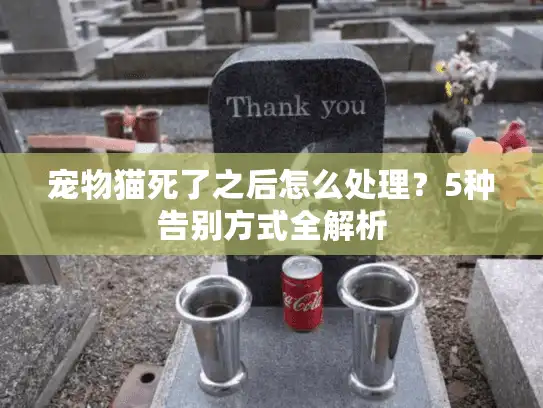 宠物猫死了之后怎么处理？5种告别方式全解析