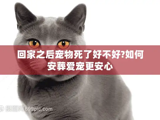 回家之后宠物死了好不好?如何安葬爱宠更安心