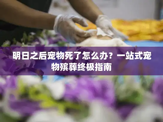 明日之后宠物死了怎么办？一站式宠物殡葬终极指南