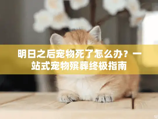 明日之后宠物死了怎么办？一站式宠物殡葬终极指南
