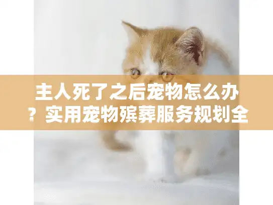 主人死了之后宠物怎么办？实用宠物殡葬服务规划全解