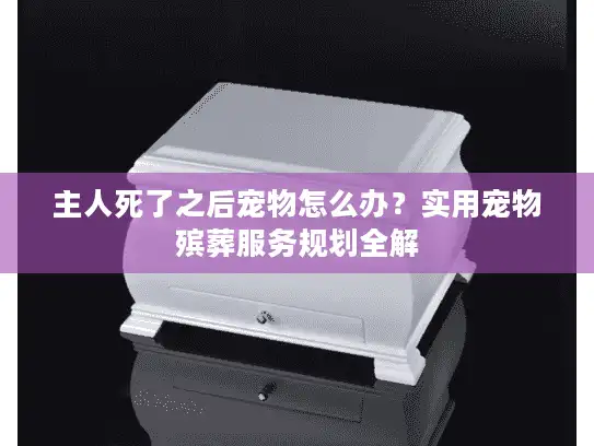 主人死了之后宠物怎么办？实用宠物殡葬服务规划全解