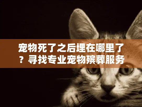 宠物死了之后埋在哪里了？寻找专业宠物殡葬服务的最佳去处