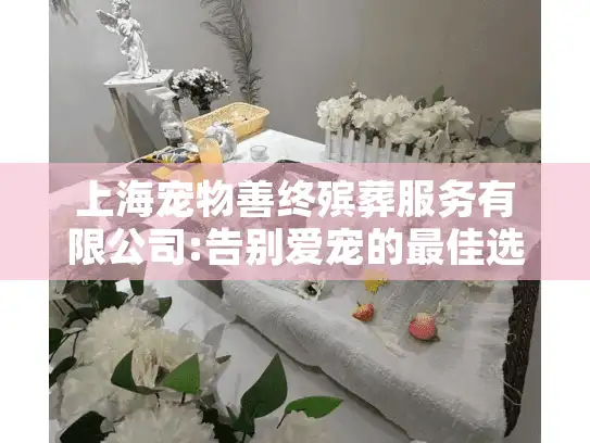 上海宠物善终殡葬服务有限公司:告别爱宠的最佳选择?