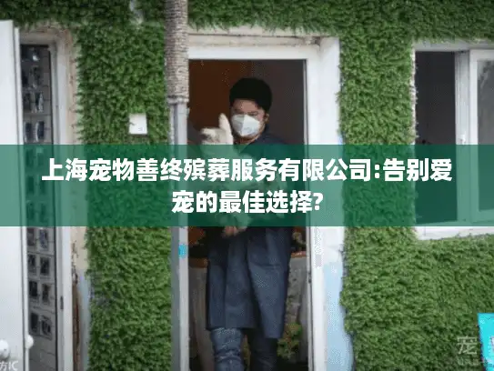 上海宠物善终殡葬服务有限公司:告别爱宠的最佳选择?
