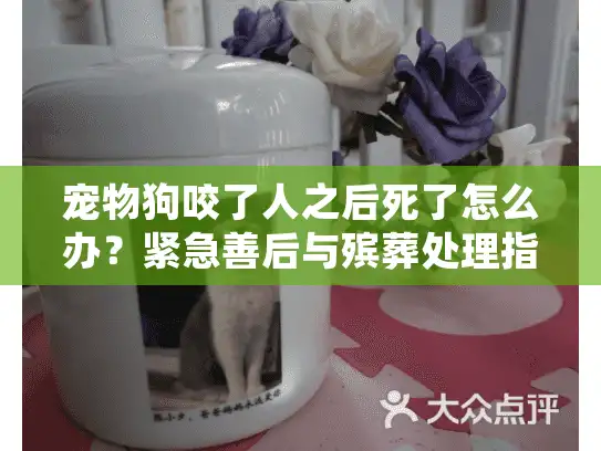 宠物狗咬了人之后死了怎么办？紧急善后与殡葬处理指南